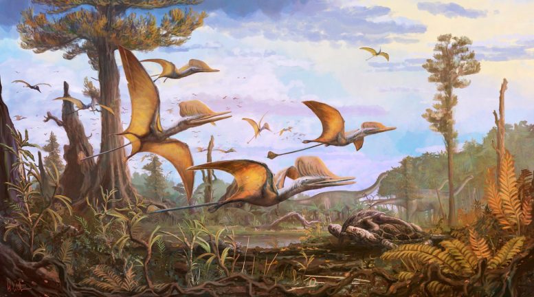 Ceoptera evansae Reconstruction - Jurassic Breakthrough: New Species Of Pterosaur Discovered On The Isle Of Skye Rewrites Evolutionary History