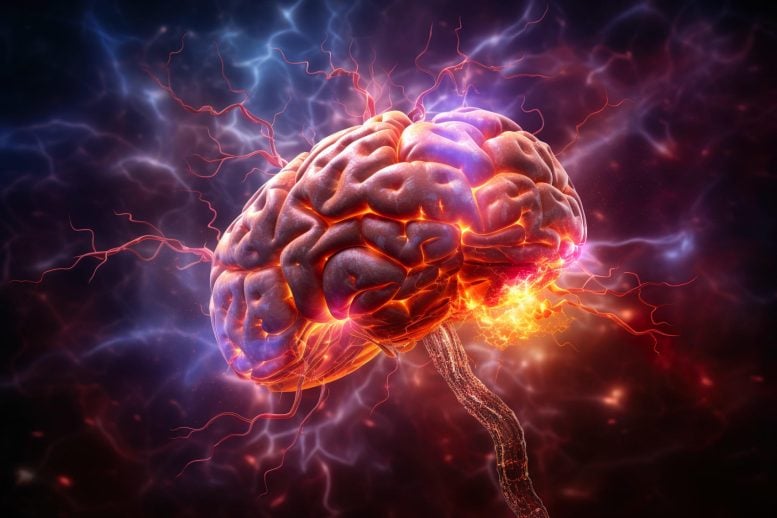 Brain Inflammation Dementia Glowing - Early Dementia Warning – Thinning Of Brain Region May Signal Risk Up To 10 Years Before Symptoms