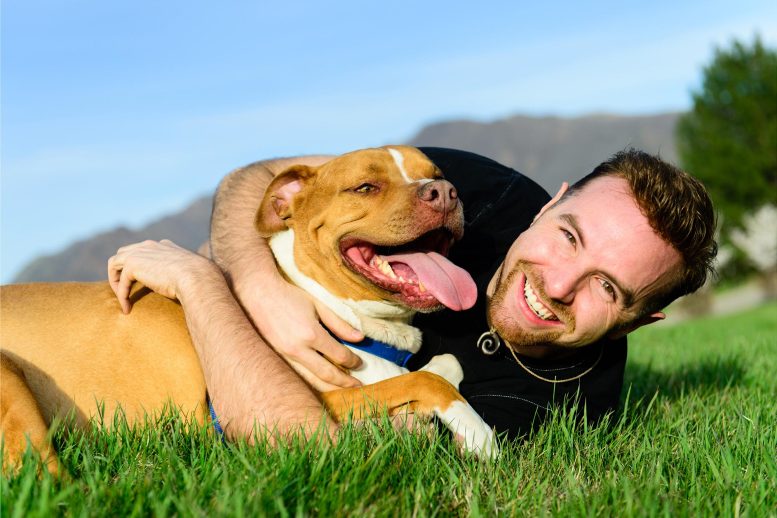 Dog Best Friend - AI Dog Personality Algorithm Could Find Your Perfect Canine Companion