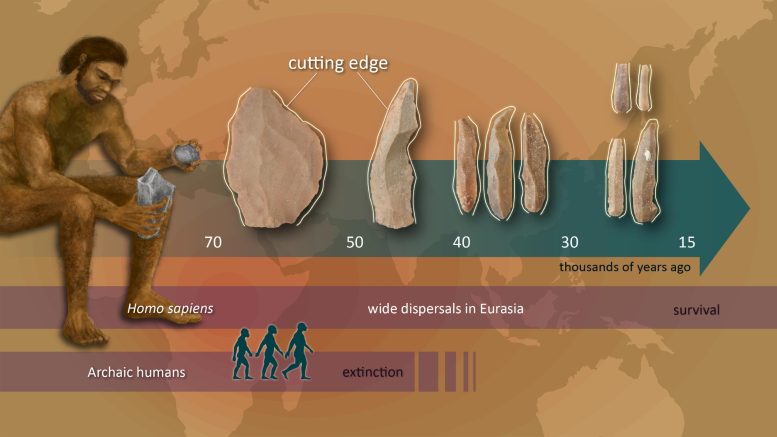 Stone Tool Cutting-Edge Productivity Increase - Beyond Flint And Fire: The True Story Of Stone Age Innovators