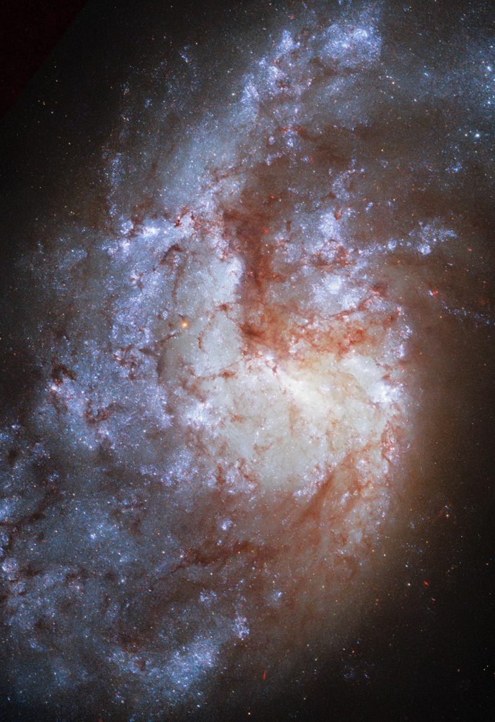 Hubble Spiral Galaxy NGC 1385 - Webb Space Telescope Reveals “Mind-Blowing” Structure In 19 Nearby Spiral Galaxies