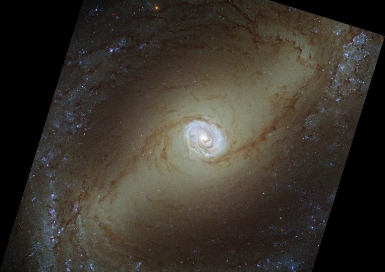Hubble Spiral Galaxy NGC 1433 - Webb Space Telescope Reveals “Mind-Blowing” Structure In 19 Nearby Spiral Galaxies