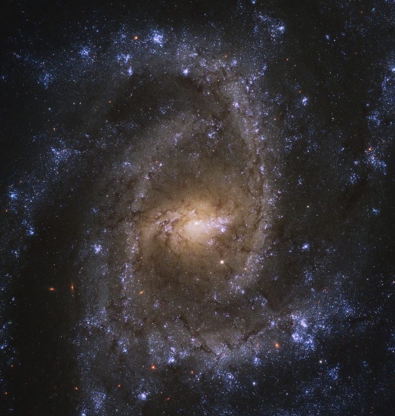 Hubble Spiral Galaxy NGC 2835 - Webb Space Telescope Reveals “Mind-Blowing” Structure In 19 Nearby Spiral Galaxies