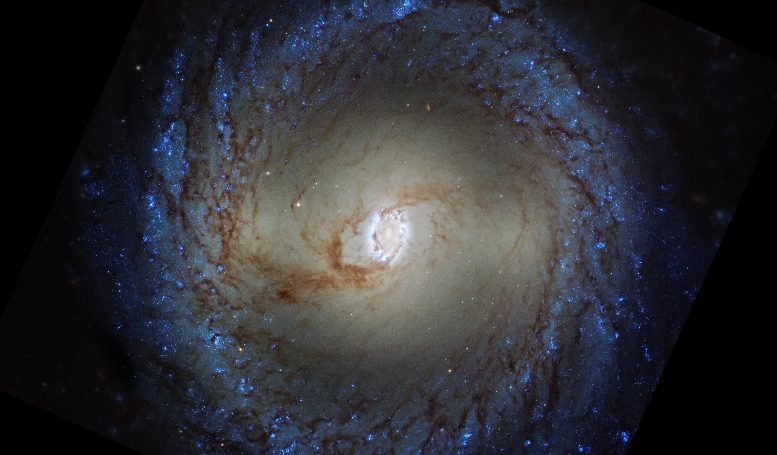 Hubble Spiral Galaxy NGC 3351 - Webb Space Telescope Reveals “Mind-Blowing” Structure In 19 Nearby Spiral Galaxies