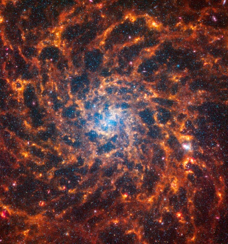 Webb Spiral Galaxy IC 5332 - Webb Space Telescope Reveals “Mind-Blowing” Structure In 19 Nearby Spiral Galaxies