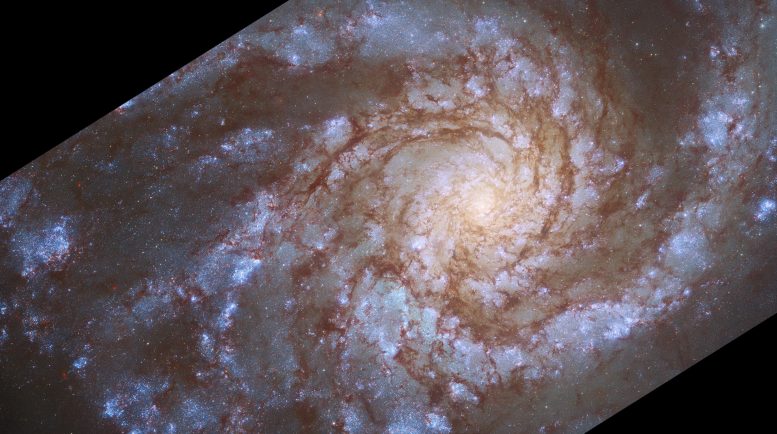 Hubble Spiral Galaxy NGC 4254 - Webb Space Telescope Reveals “Mind-Blowing” Structure In 19 Nearby Spiral Galaxies