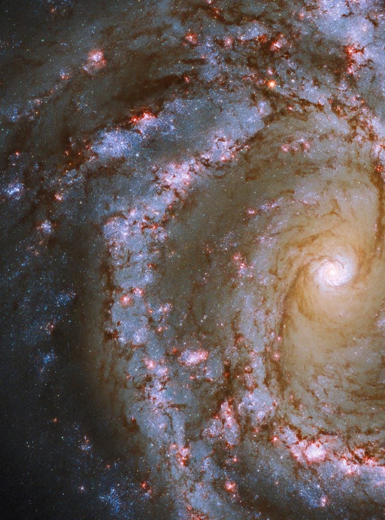 Hubble Spiral Galaxy NGC 4303 - Webb Space Telescope Reveals “Mind-Blowing” Structure In 19 Nearby Spiral Galaxies