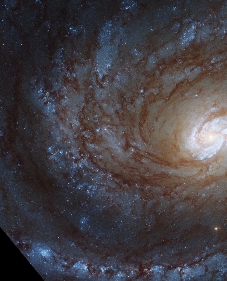 Hubble Spiral Galaxy NGC 4321 - Webb Space Telescope Reveals “Mind-Blowing” Structure In 19 Nearby Spiral Galaxies