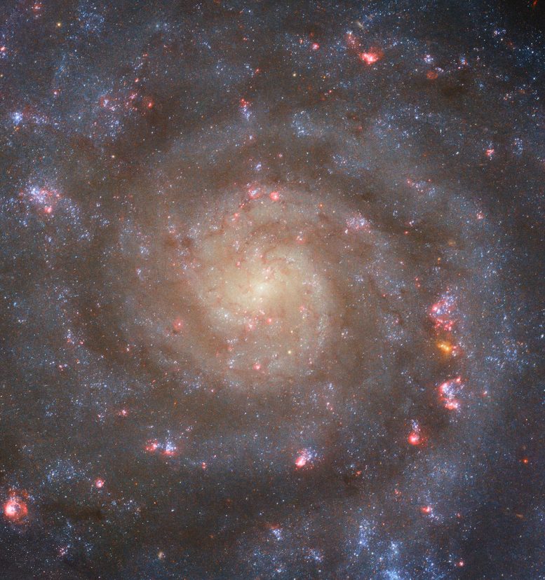 Hubble Spiral Galaxy IC 5332 - Webb Space Telescope Reveals “Mind-Blowing” Structure In 19 Nearby Spiral Galaxies