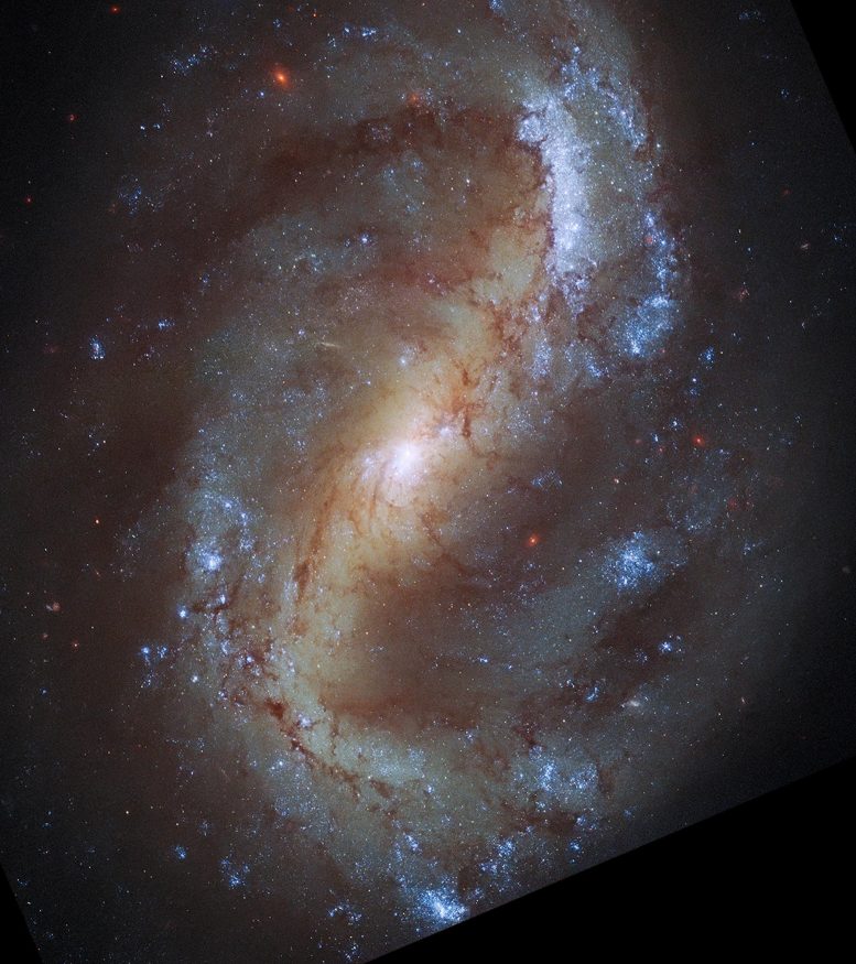 Hubble Spiral Galaxy NGC 7496 - Webb Space Telescope Reveals “Mind-Blowing” Structure In 19 Nearby Spiral Galaxies