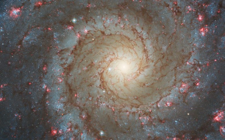 Hubble Spiral Galaxy NGC 628 - Webb Space Telescope Reveals “Mind-Blowing” Structure In 19 Nearby Spiral Galaxies