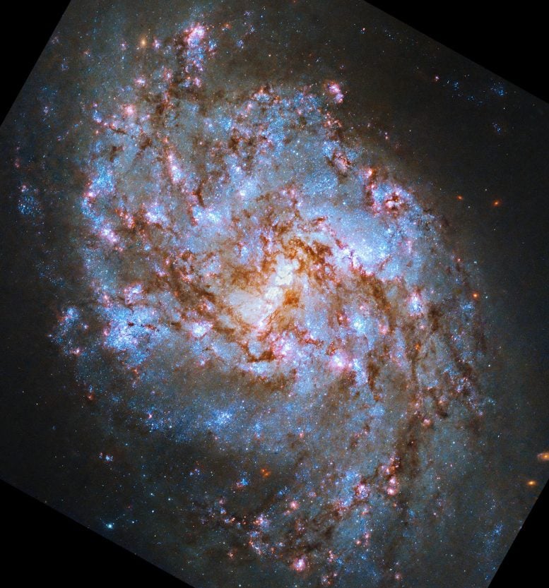 Hubble Spiral Galaxy NGC 1087 - Webb Space Telescope Reveals “Mind-Blowing” Structure In 19 Nearby Spiral Galaxies