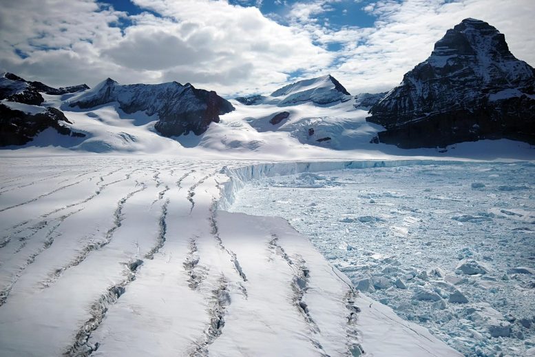 Antarctic Ice Sheet Glacier - When History Repeats: Ancient Octopus Genetics Indicate Potential West Antarctic Ice Sheet Collapse