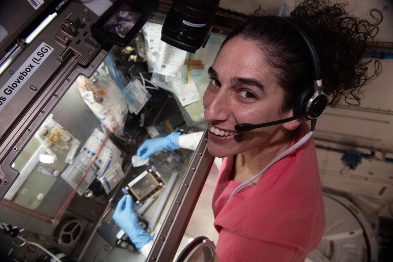 Expedition 70 Flight Engineer Jasmin Moghbeli Works Inside Life Science Glovebox - Enhancing Immunity, Advancing Robotics, And Refining Optical Fibers In Space