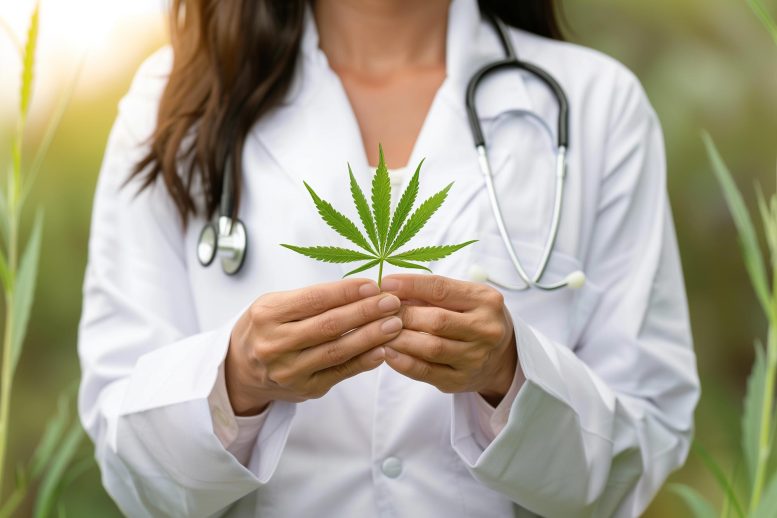 Cannabis Doctor - Cannabis And Heart Health: A Troubling Connection Uncovered