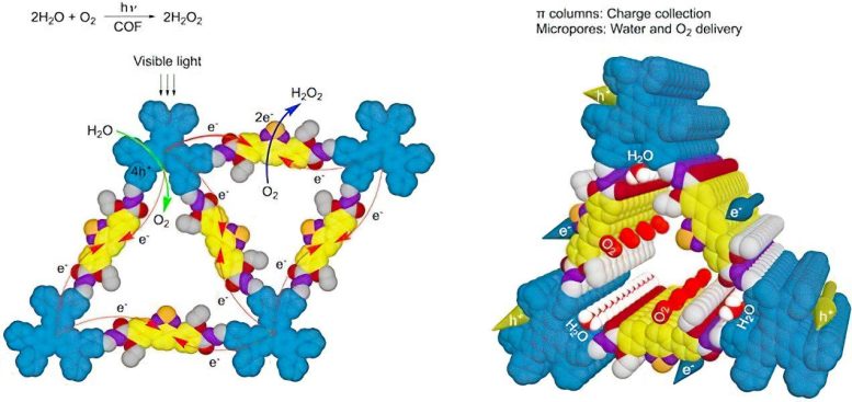 Hexavalent Covalent Organic Framework Material That Mimics Photosynthesis - Sustainable Chemistry Achieved: Scientists Develop Organic Framework Material That Mimics Photosynthesis
