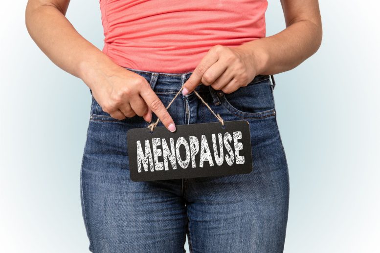 Menopause Sign - Yale Scientists Unveil Innovative Method To Prevent Menopause, Possibly Forever