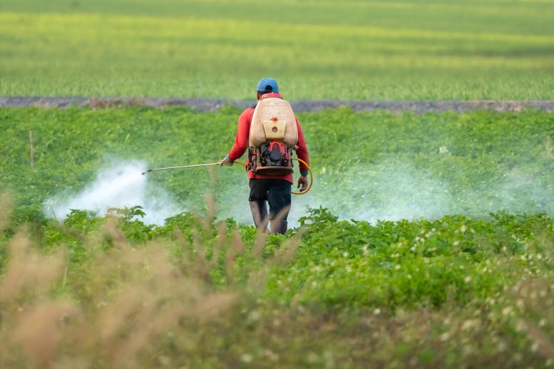 Farmer Spraying Pesticide - Viral Nanoparticles: A New Frontier In Sustainable Pest Management For Farmers
