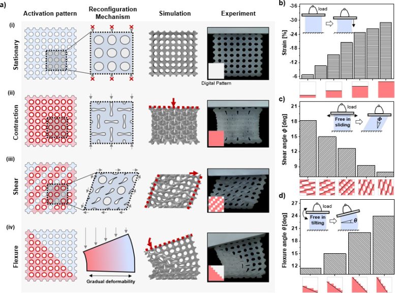 Shape Shifting and Shape Memory Capabilities Metamaterial - Metamaterial Magic: Scientists Develop New Material That Can Dynamically Tune Its Shape And Mechanical Properties In Real-Time
