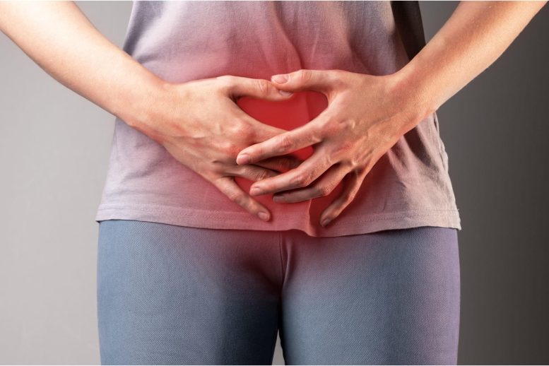 Woman Urinary Tract Infection - Nerve Overgrowth: Unlocking The Secret Behind Persistent UTI Pain