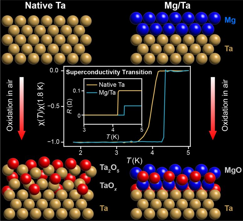 Molecular Schematics Showing Protection From Oxidation - Breaking Barriers In Quantum Research: Magnesium-Coated Tantalum Unveiled