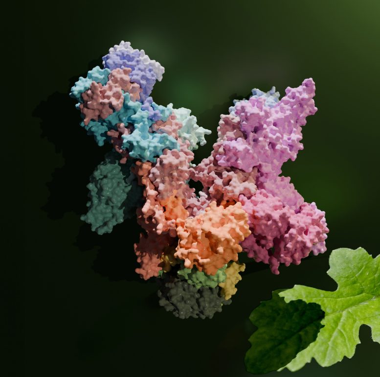 Plant RNA Polymerase PEP - Revolutionary 3D Snapshot Unveils Secret Machine Behind Photosynthesis