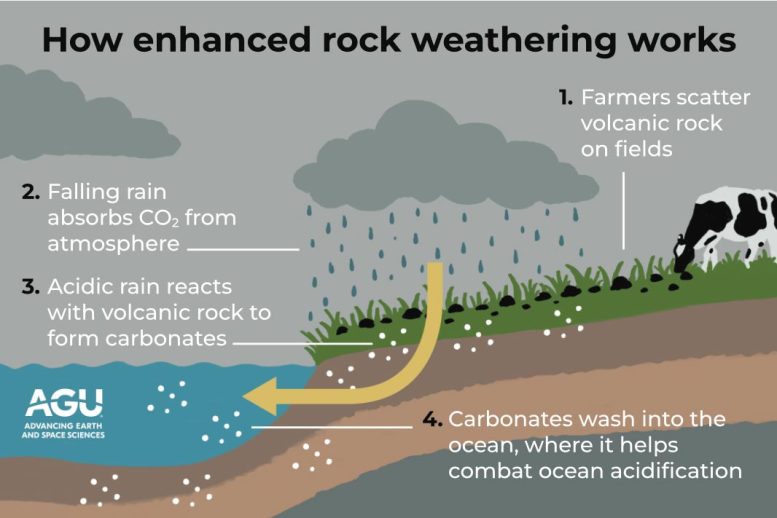 Enhanced Rock Weathering - “Planting” Volcanic Rocks In Farm Fields Could Be A Game Changer For Carbon Capture