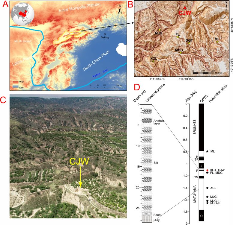 The CJW Site and Lithology of the CJW Profile and Corresponding Magnetic Polarity Time Scale - Redefining Human History: Scientists Uncover Advanced 1.1 Million-Year-Old Tools In China