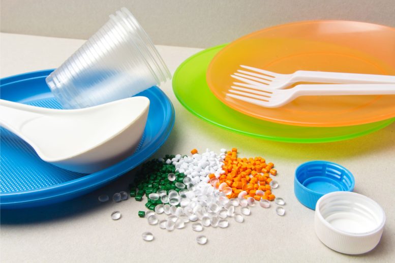Plastic Forks Plates Utensils - Common Plastic Chemical Linked To Increased Childhood Obesity Risks