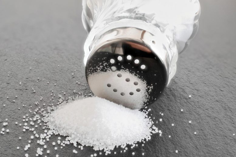 Salt Shaker - A Simple Change: Switching To Potassium-Enriched Salt Could Save Millions Of Lives
