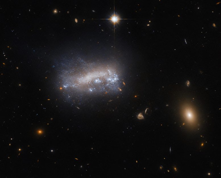 Galaxy LEDA 42160 - Magellanic Spiral Galaxies Decoded: Hubble Captures LEDA 42160