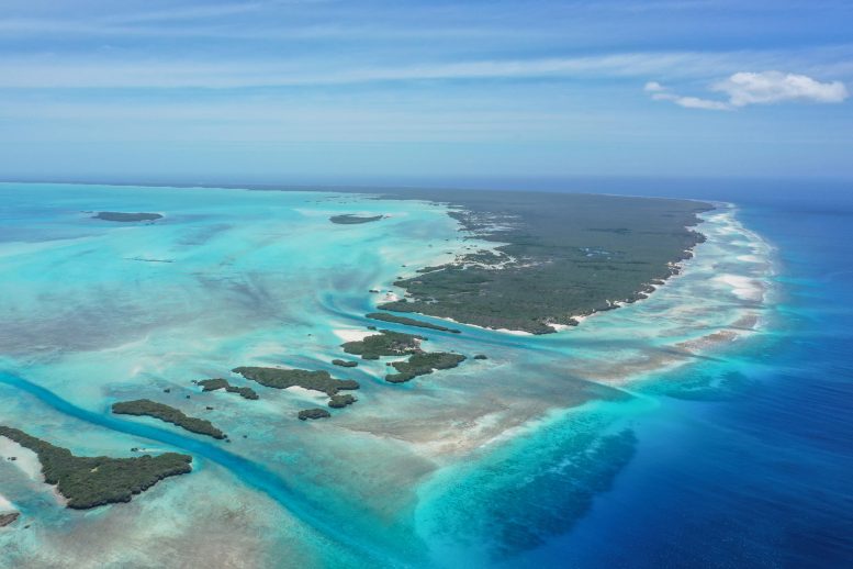 Aldabra Atoll - Hidden Coral Superhighway Discovered In The Indian Ocean