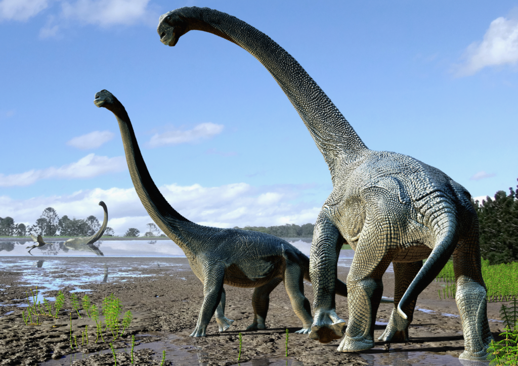 An artist’s rendering of what Savannasaurus elliottorum, a species of titanosaur discovered in 2016 in Australia, may have looked like. - Amateur Paleontologist Finds Nearly Complete 70-million-year-old Massive Titanosaur While Walking His Dog