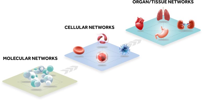Network Structure of Different Levels of Organization in Living Organisms - Quantum Computing Could Unlock A New Understanding Of Aging