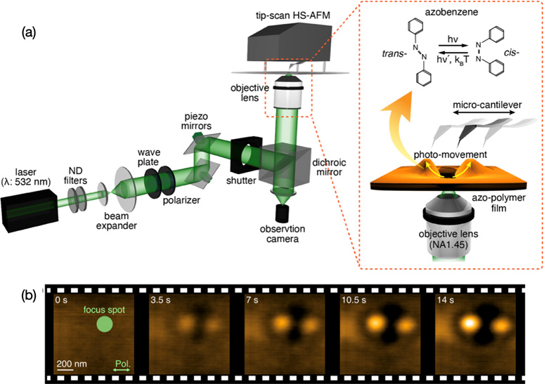 Overview of the High Speed Atomic Force Microscopy Integrated With the Laser Irradiation System - Scientists Catch Light-Driven Polymers In The Act