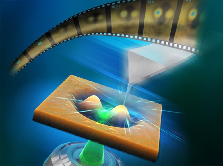 High Speed Atomic Force Microscopy - Scientists Catch Light-Driven Polymers In The Act