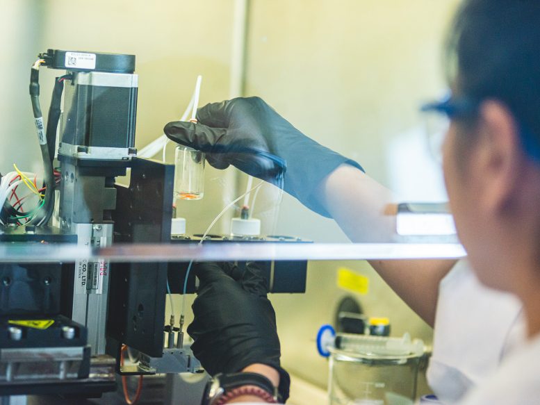 3D Bioprinting Skin Layers - The Future Of Skin Regeneration: 3D Bioprinting From Fat Tissue