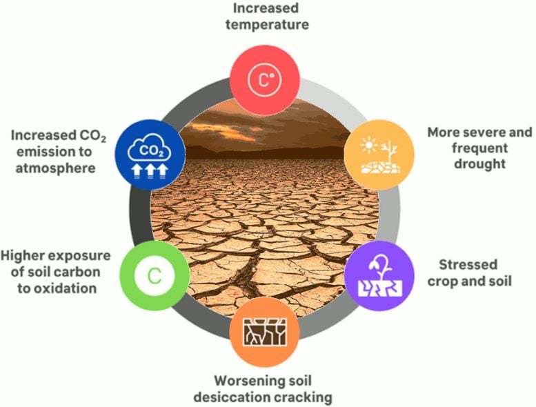 Soil Carbon Release Amplification - This Overlooked Feedback Loop Is Accelerating Climate Change