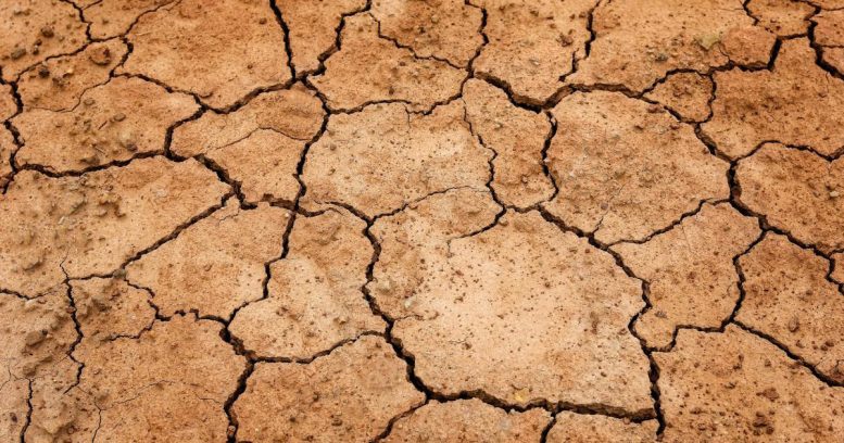 Soil Displaying Cracks in Drought - This Overlooked Feedback Loop Is Accelerating Climate Change