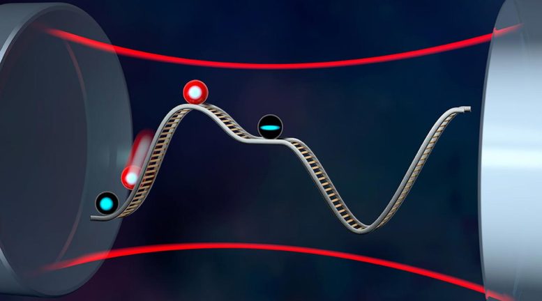 Multilevel Atoms on a Superradiance Potential Rollercoaster - Quantum Leap: How Spin Squeezing Pushes Limits Of Atomic Clock Accuracy