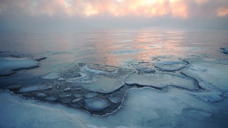 Melting Ice Climate Change - Startling Findings – The Arctic Could Become “Ice-Free” In Less Than 10 Years
