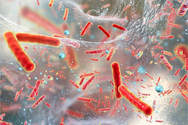Red Bacteria Microbes - A Fundamental Shift In Our Understanding – Scientists Unravel A Global Nitrogen Mystery