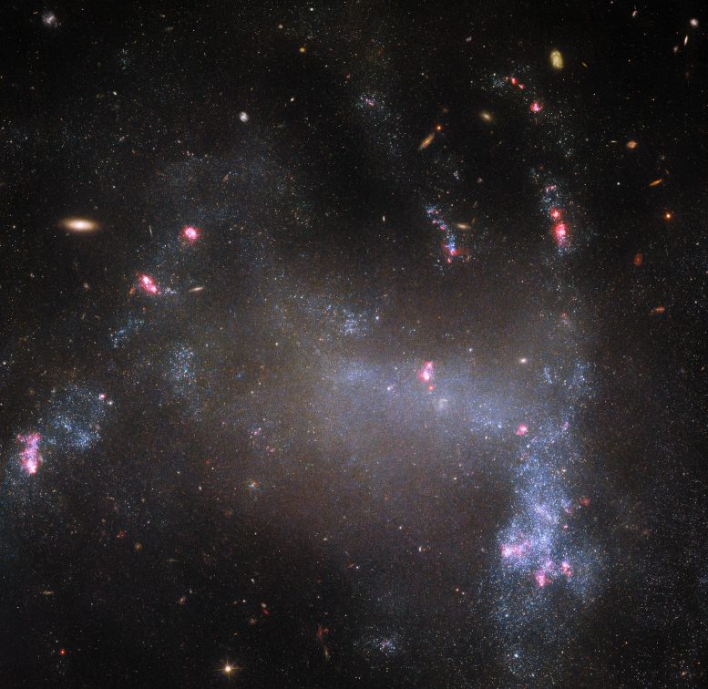 Irregular Galaxy UGC 5829 - Astrophysical Anomalies: The Curious Case Of The Spider Galaxy