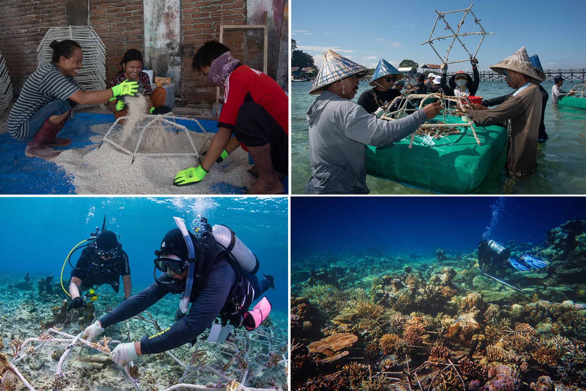 Construction and installation of Reef Stars. - New Method Fully Recovers Coral Reefs Destroyed By Blast Fishing