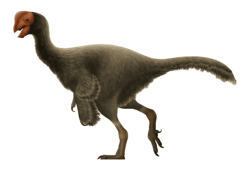 Oviraptor: “Egg Thief”'s recreation of Oviraptor