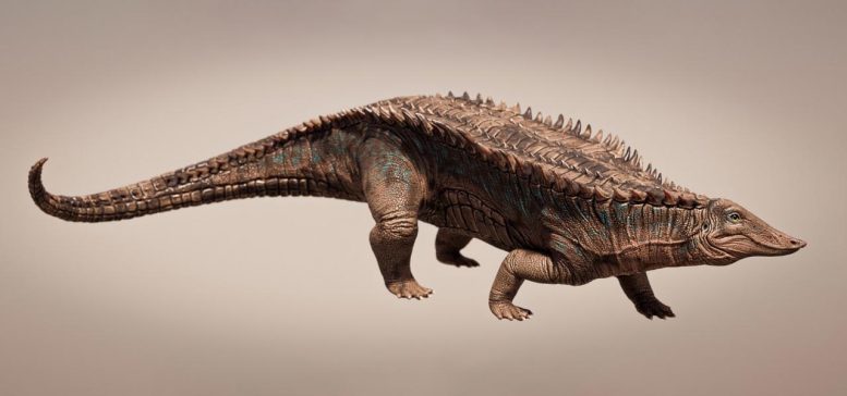 Garzapelta Illustration - Triassic Titans: New Crocodile Ancestor Discovered In Texas Reveals Secrets Of Armor Evolution