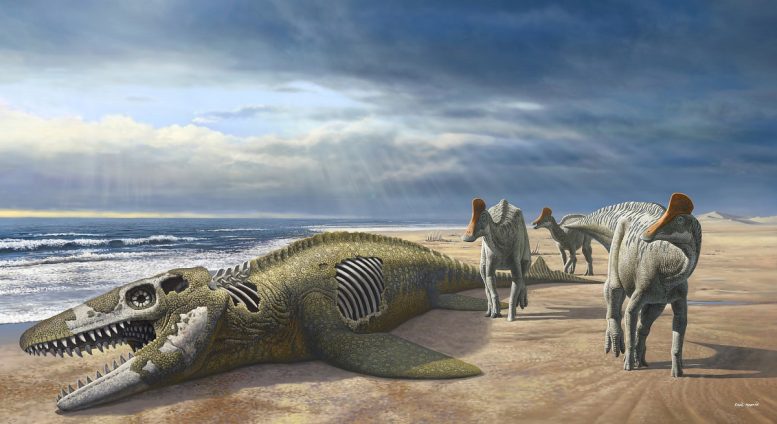 Minqaria bata - “Once-in-a-Million-Years” – Scientists Discover Strange Fossils Of Duckbill Dinosaurs In Morocco