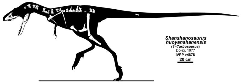 Shanshanosaurus holotype proven to be a Tarbosaurus juvenile - Tarbosaurus: “Alarming Lizard”