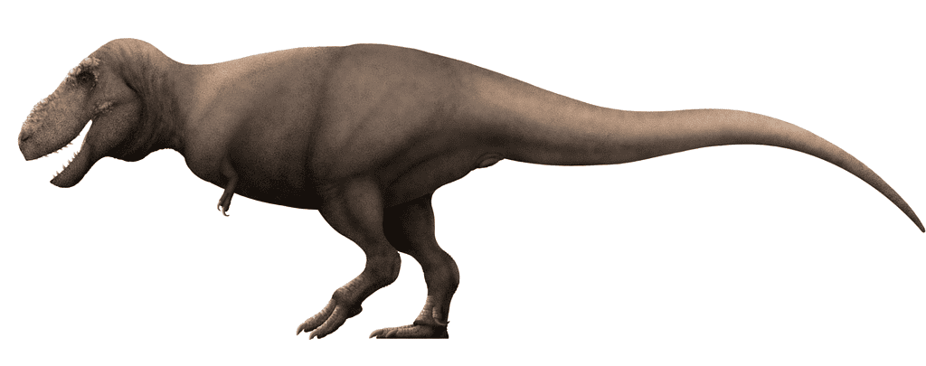 Tarbosaurus: “Alarming Lizard”'s recreation of Tarbosaurus bataar