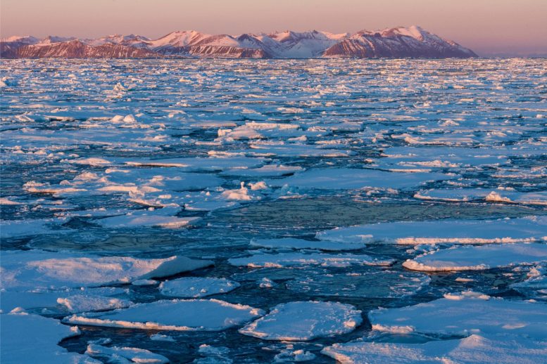 Sea Ice Greenland - A Dramatic Reversal Is Coming – Deciphering The Arctic Ice Speed Paradox